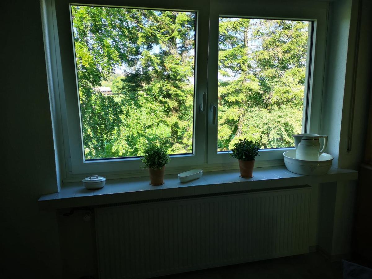 Ferienwohnung "In De Uehl" Hurtgenwald Ngoại thất bức ảnh